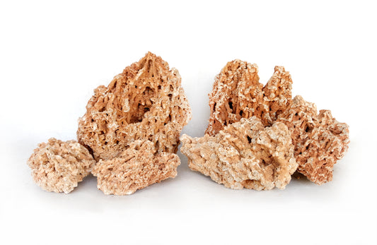 Natural Yellow Faveolate Rock 20kg Aquarium Rock  