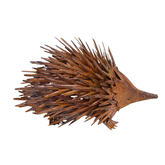 Echidna Small (Rust) Decor