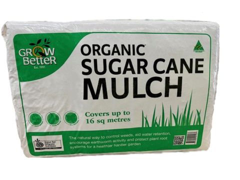 Grow Better Sugar Cane (48) AO CERT Garden Supplies
