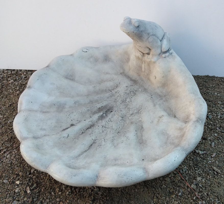 Frog Shell Dish Bird Bath  
