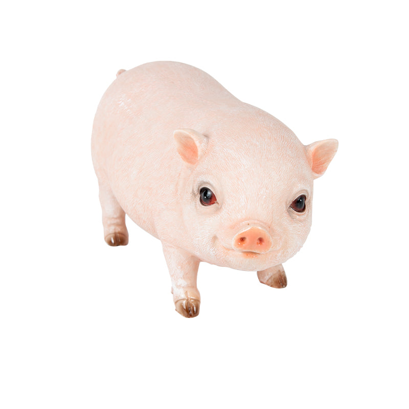 Mini Pig   
