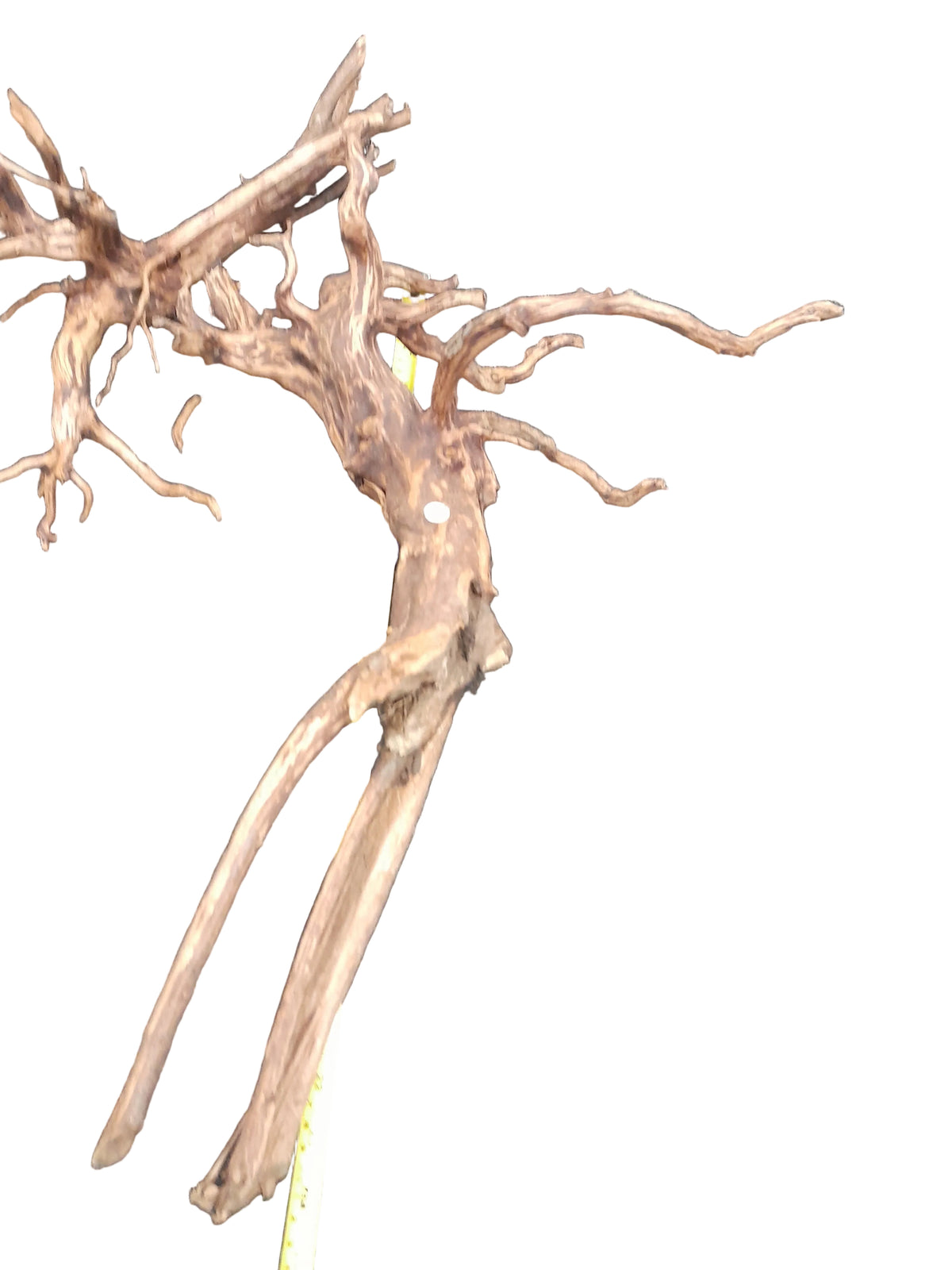 Mangrove Root Aquarium Wood