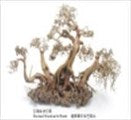 Bonsai Wood With Rock Medium Aquarium Wood  