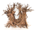 Bonsai Dancing Wood Large Aquarium Wood  