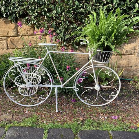 Bicycle Plant Stand Pot Cream 