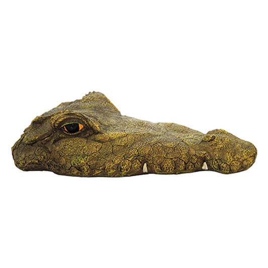 Lurking Croc Floating Ornament 35cm Accessory  