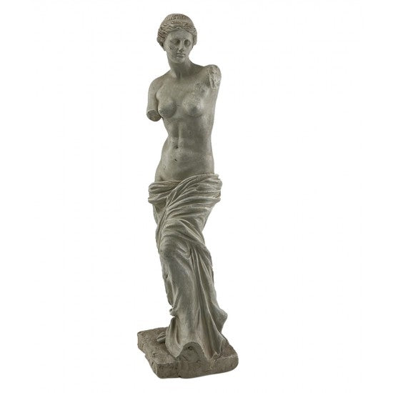 Medium Venus Statue Statue  