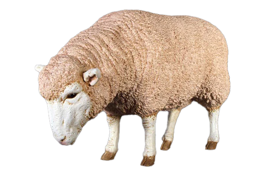 Sheep Grazing Fibreglass Statue