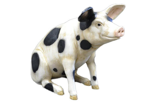 Pig Sitting Black & White Large Fibreglass Statue