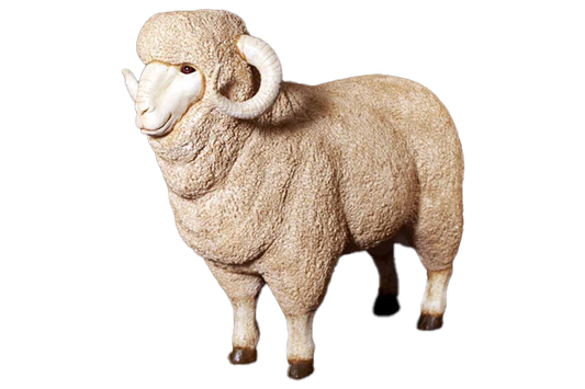 Merino Ram Fibreglass Statue