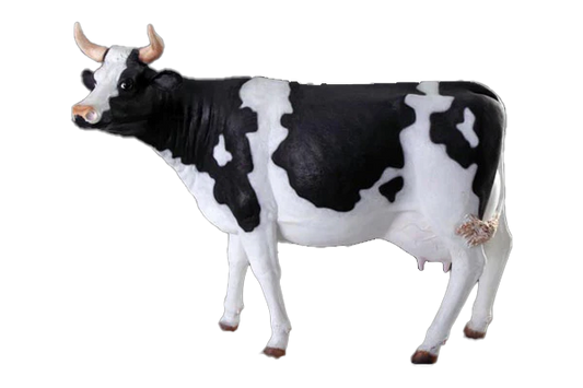 Cow Fibreglass Statue Statue  