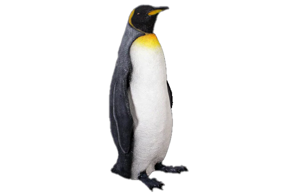King Penguin Fibreglass Statue