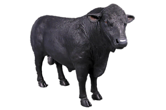 Black Angus Bull Fibreglass Statue