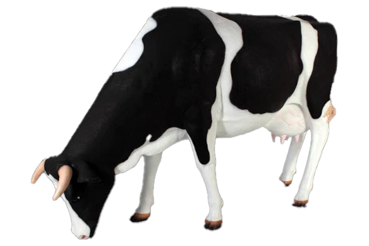 Cow Grazing Fibreglass Statue
