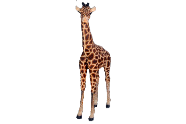 Baby Giraffe Fibreglass Statue Statue  