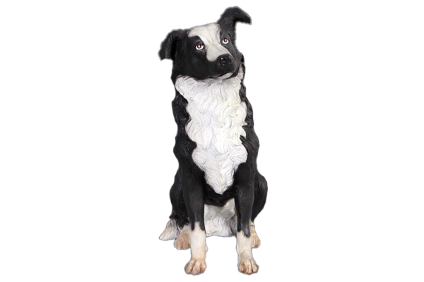 Border Collie Dog Fibreglass Statue Statue  