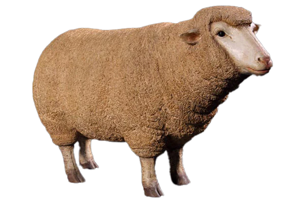 Sheep Looking Forward Fibreglass Statue Statue  