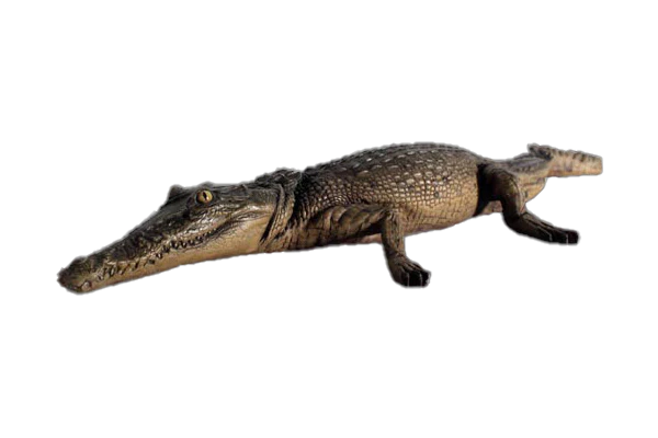 Crocodile Resting Fibreglass Statue Statue Uracast  