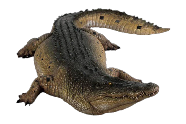 Crocodile 12ft Fibreglass Statue Statue  