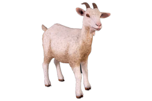 Goat Fibreglass Statue