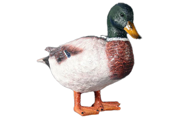 Male Mallard Duck Fibreglass Statue