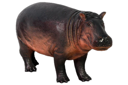 Hippopotamus Baby Fibreglass Statue Statue  