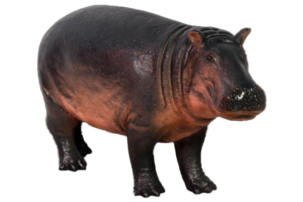 Hippopotamus Baby Fibreglass Statue Statue Uracast  