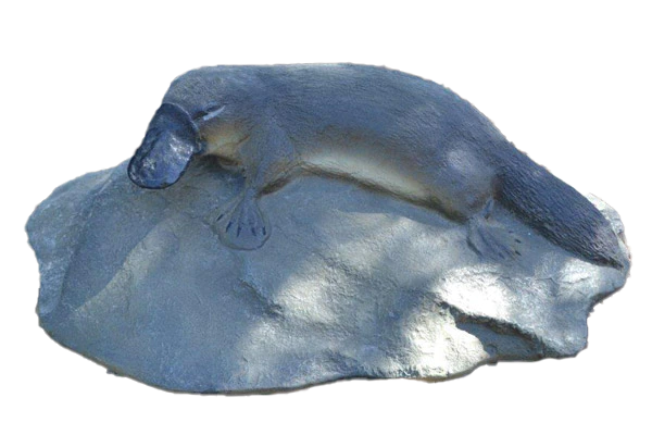 Platypus on Rock Fibreglass Statue Statue Uracast  