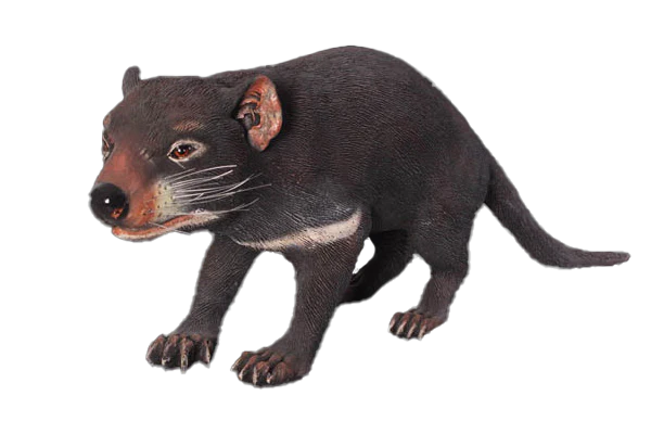 Tasmanian Devil Fibreglass Statue Statue Uracast  