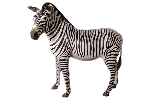 Zebra Fibreglass Statue