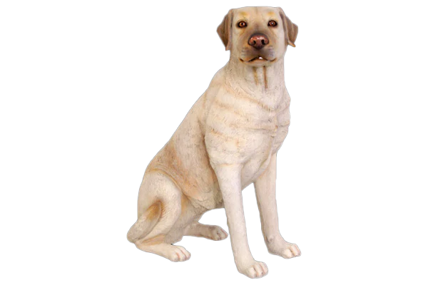Labrador Dog Fibreglass Statue Statue Uracast  