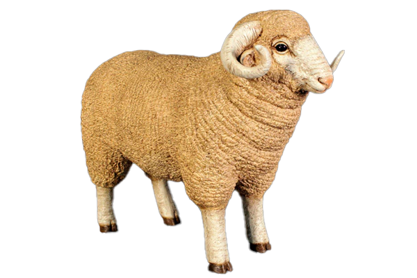 Merino Ram Small Fibreglass Statue Statue Uracast  