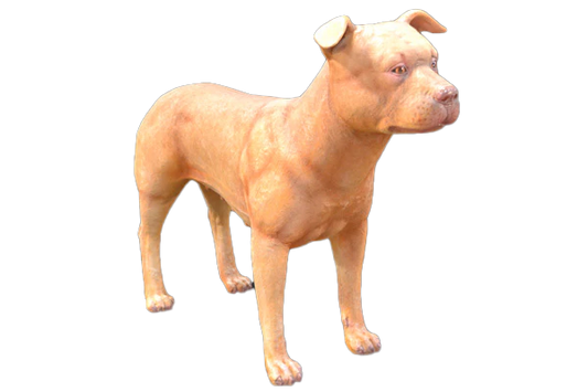 Pitbull Terrier Male Dog Fibreglass Statue Statue  
