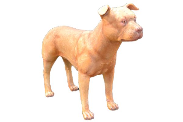Pitbull Terrier Male Dog Fibreglass Statue Statue  