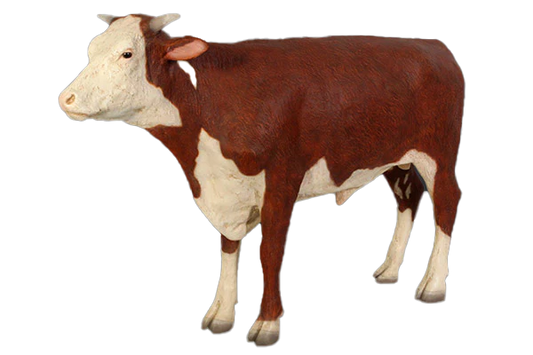 Hereford Steer Fibreglass Statue