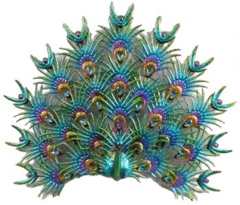 Peacock Vibrant Wall Art Décor  