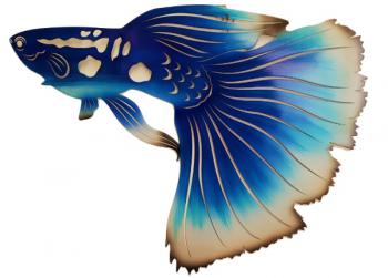 Guppy Wall Art Décor  