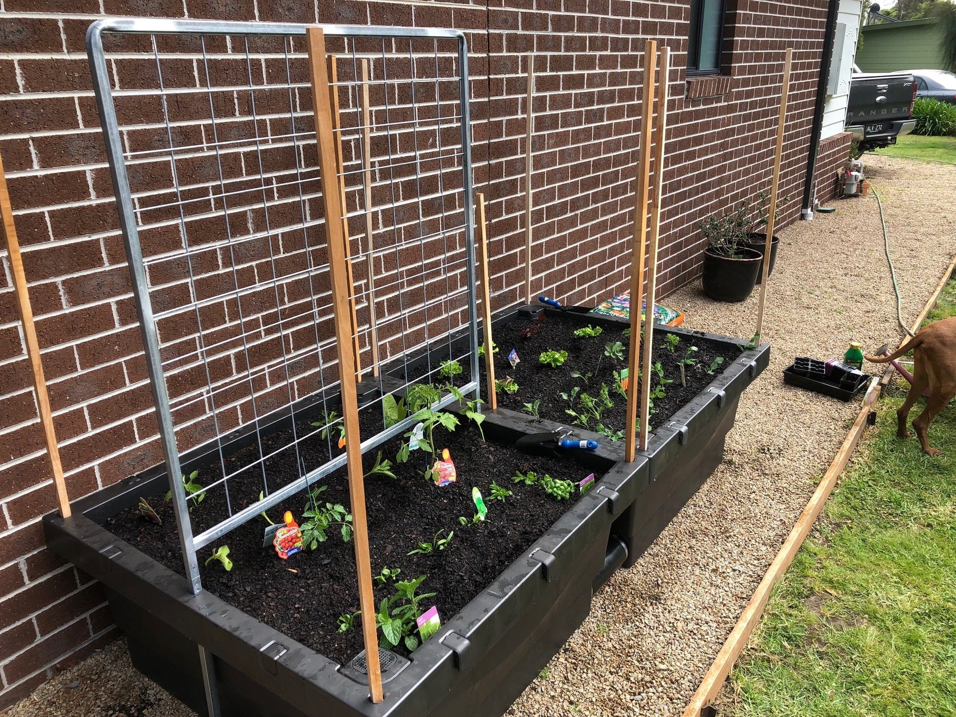 Foodcube Wicking Bed Foodcube  