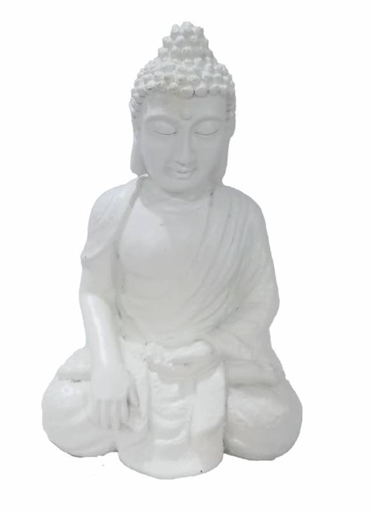 Buddha Statue Statue Willis Lane  