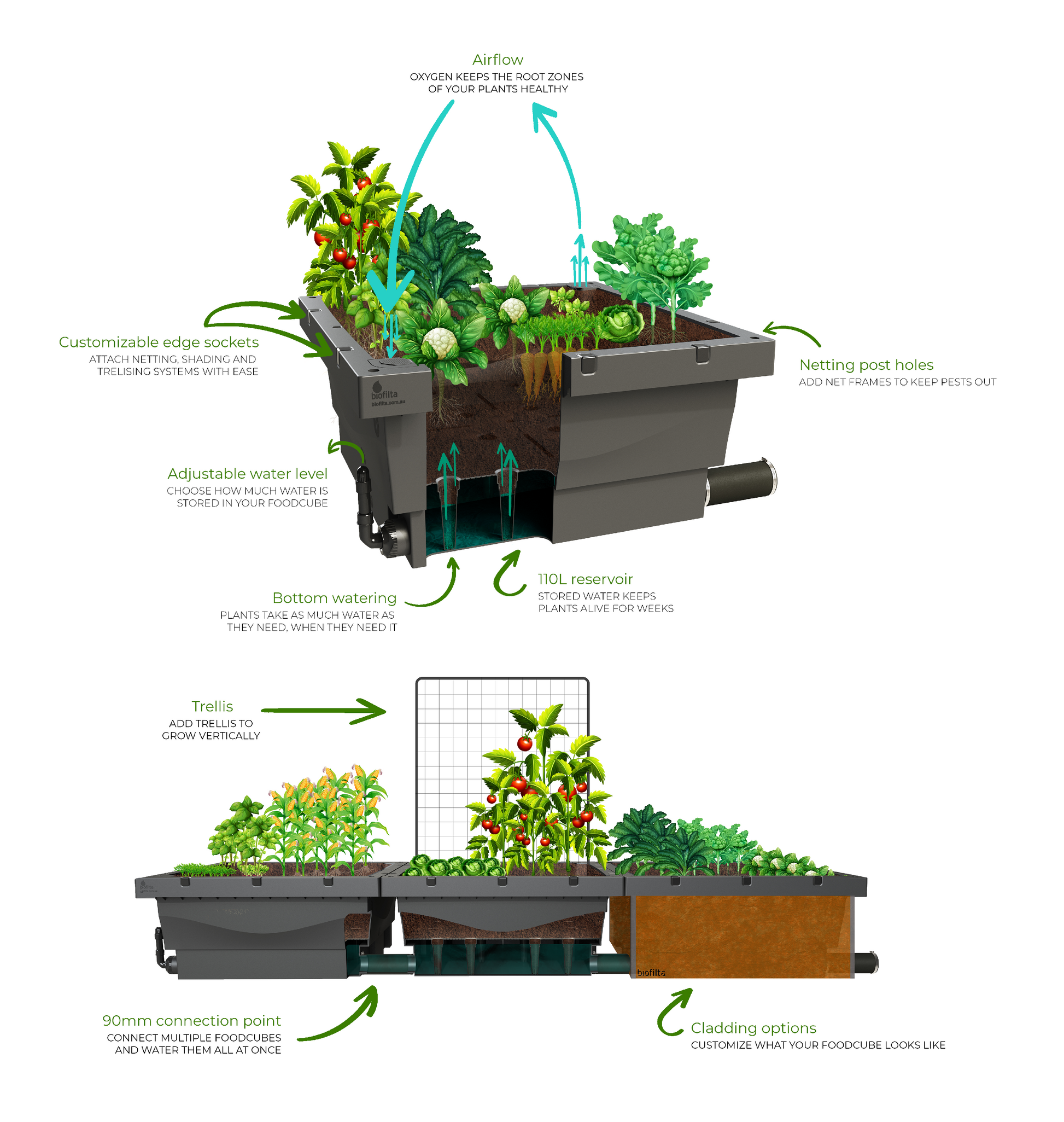 Foodcube Wicking Bed Foodcube  