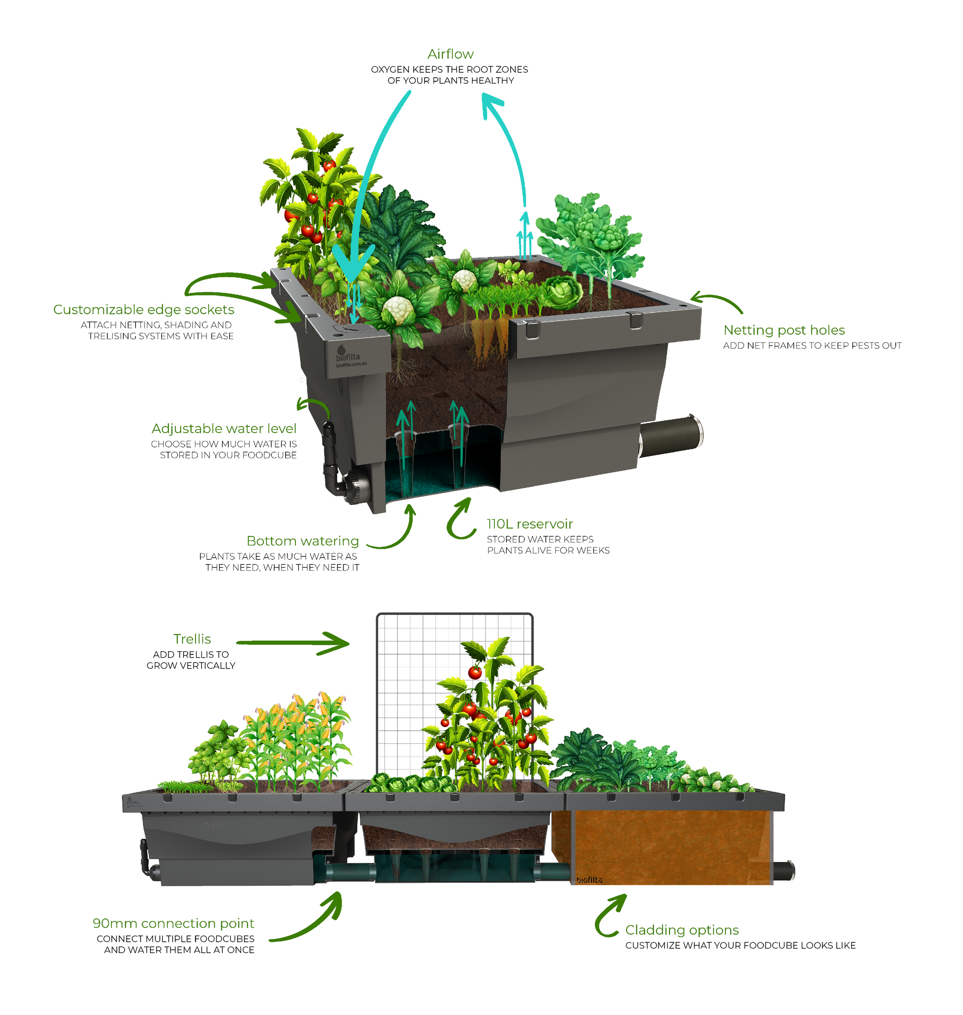 Foodcube + BioGrow Premium Potting Mix(10 bags) Package Foodcube  