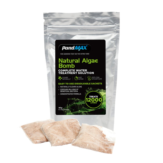 PondMAX Natural Algae Bomb 90gm Accessory  