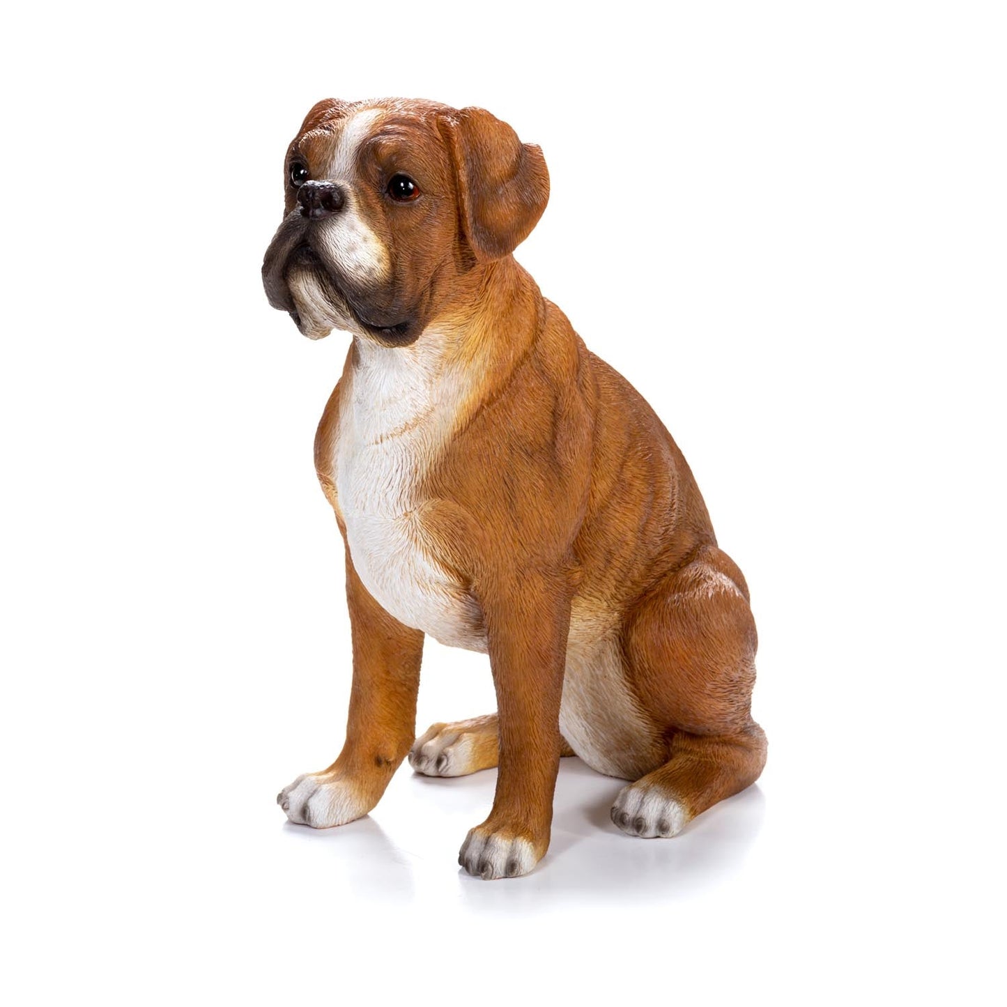 Medium Tan & White Boxer Figurine Statue  