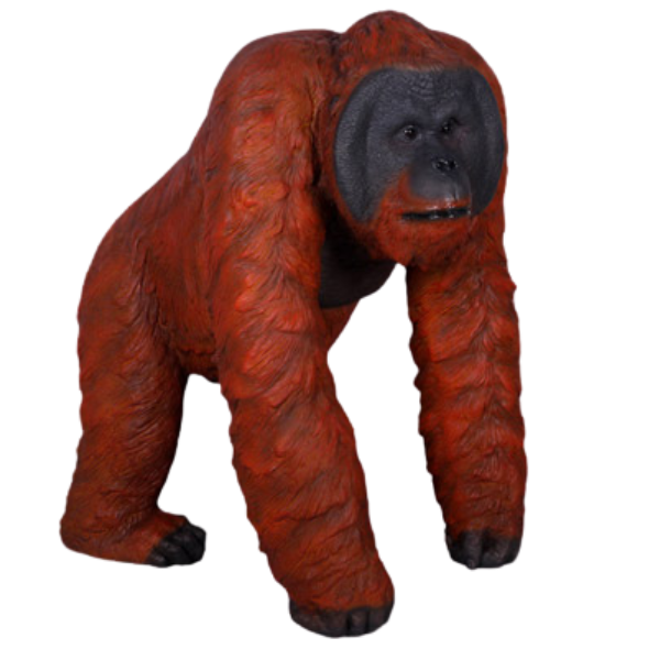 Walking Male Orangutan Statue Statue  