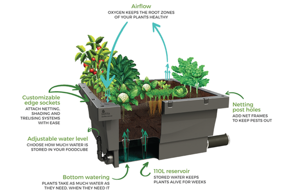 Foodcube + BioGrow Premium Potting Mix(10 bags) Package Foodcube  