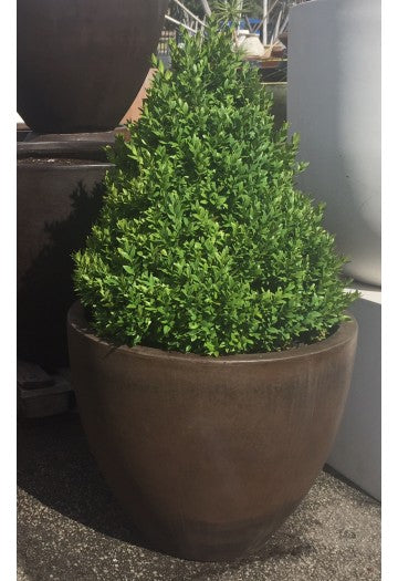 GRC Egg Planters