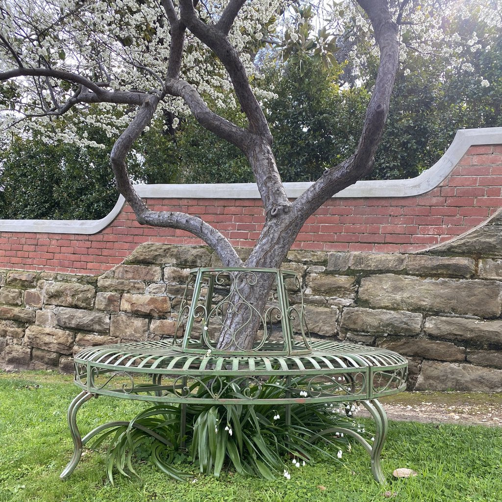 Tree Surround Distressed Furniture Green 