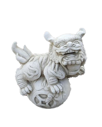 Small Chinese Dog
