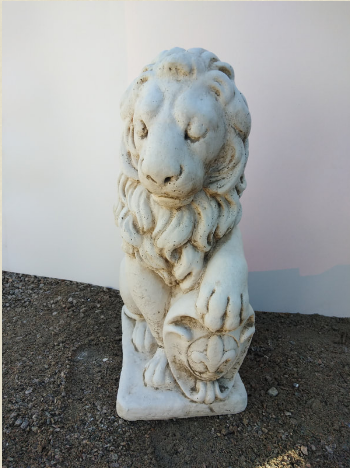 Shield Lions