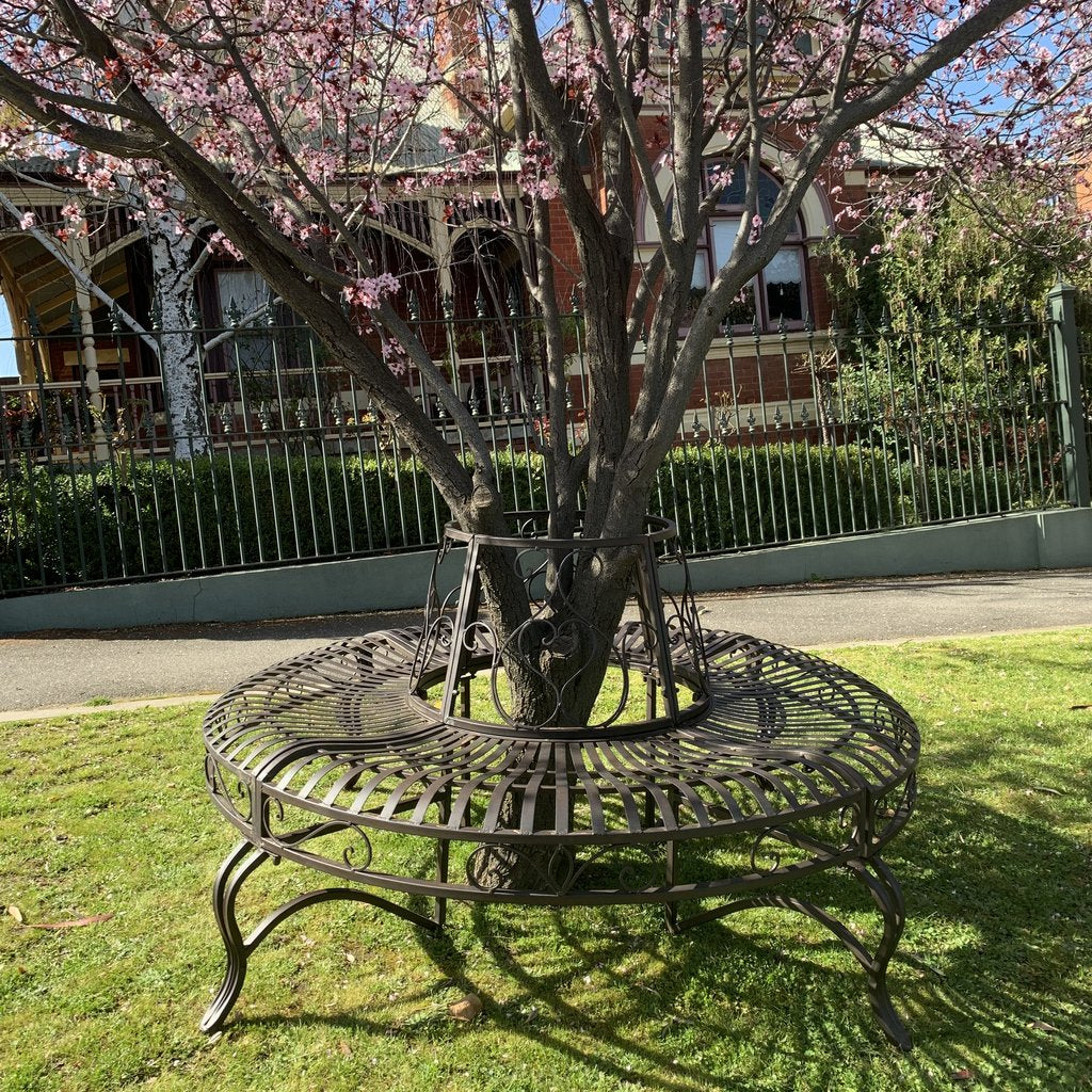 Tree Surround Distressed Furniture Brown 